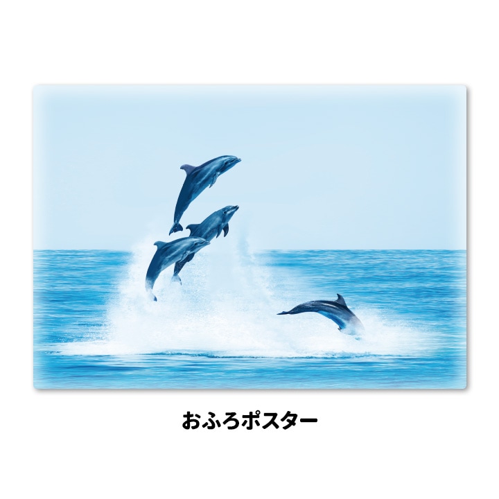 ����Ϥ�ݥ������ڥ��륫�ۥޥ��ͥåȥ��������������ظ����