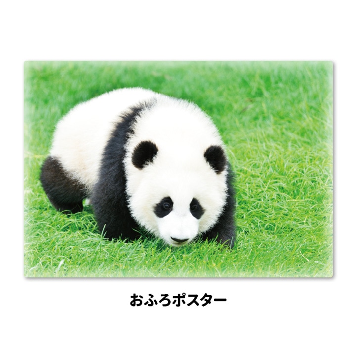 ����Ϥ�ݥ������ڥѥ���ۥޥ��ͥåȥ��������������ظ����