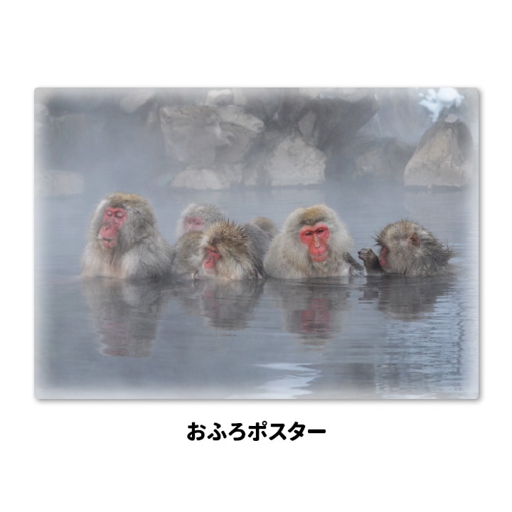 ����Ϥ�ݥ������ڲ����ˤĤ����ۥޥ��ͥåȥ��������������ظ����