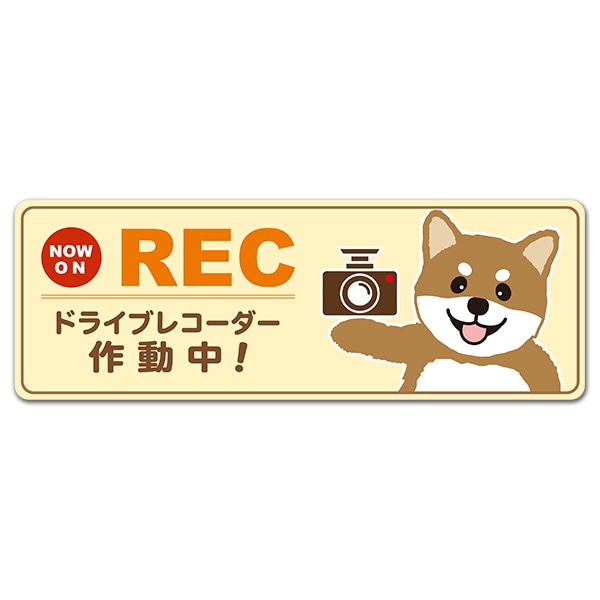 �ּ� ��� �Ƹ� NOW ON REC�ڥɥ饤�֥쥳��������ư��ۥ���෿ �֥ޥ��ͥåȥ��ƥå����ڤ椦�ѥ��å����������ǽ��