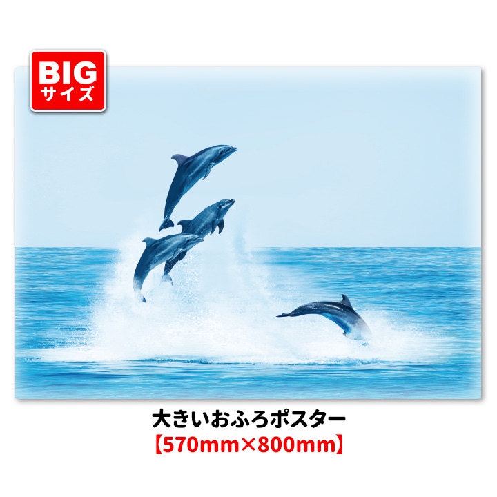 大きいお風呂ポスター【イルカ】マグネットシート製【宅配便限定送料