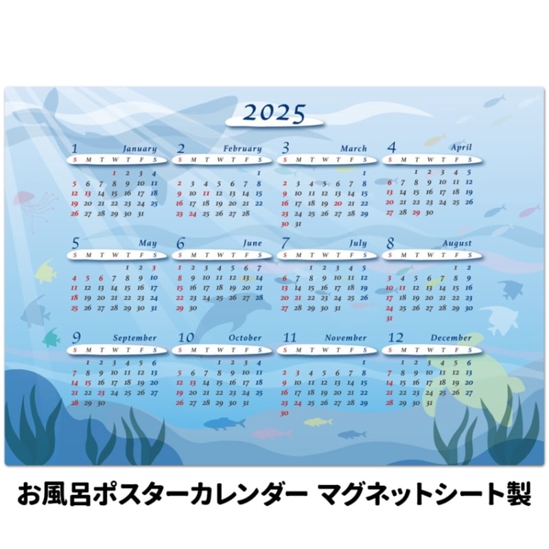 2025ǯϤݥڥץ۳ ޥͥåȥظ