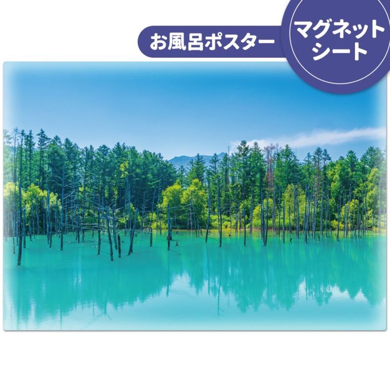 ϤݥͤĤӡۥޥͥåȥظ