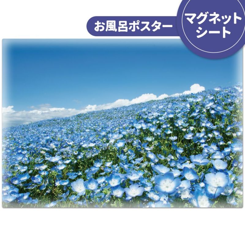 ϤݥڤҤ͸ۥޥͥåȥظ