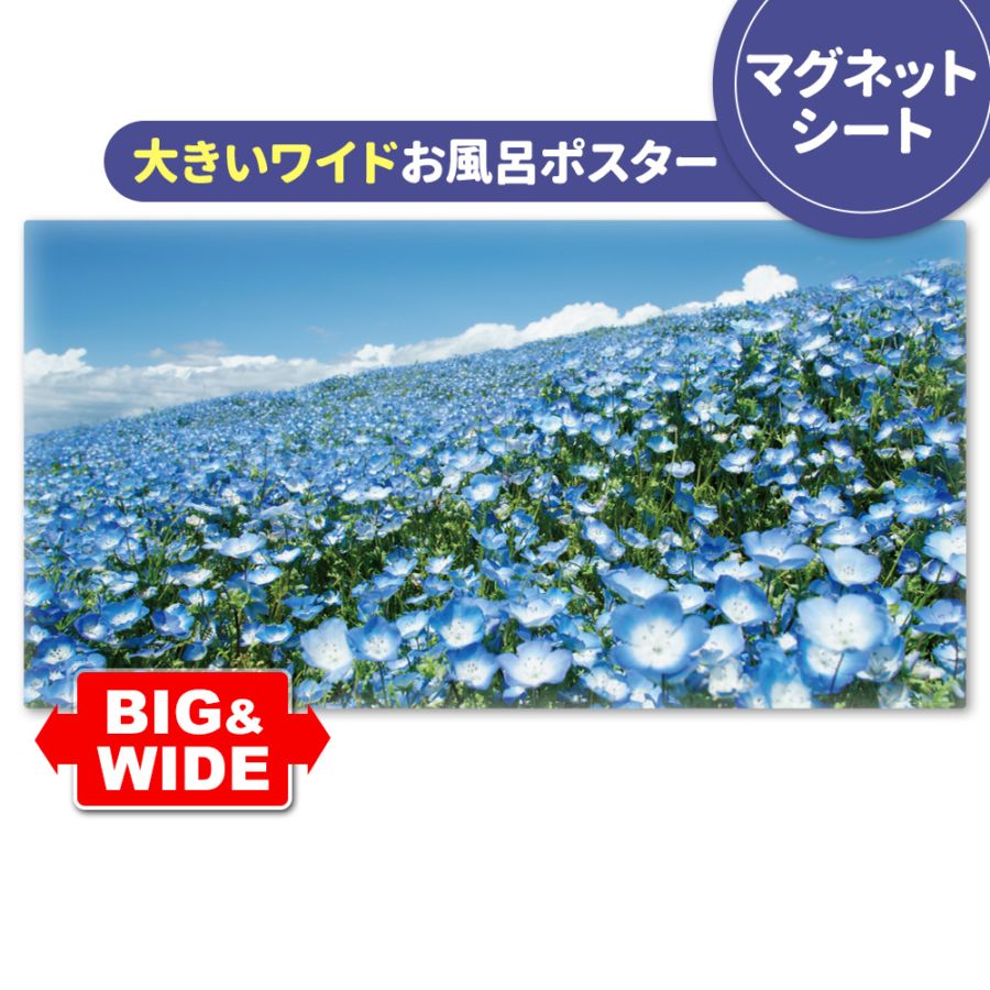 どぬく ブロマイド しおり マグネット コースター タオル 下敷き ポスター 000000003000_wY0t9fr.jpg