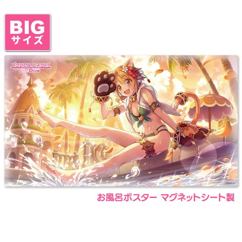 ץ󥻥ͥȡRe:Dive Ϥݥ 祵 ޥͥåȥ ҥʥޡ ظ̵