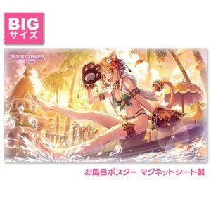 �ץ�󥻥����ͥ��ȡ�Re:Dive ����Ϥ�ݥ����� �祵���� �ޥ��ͥåȥ������� �ҥ��ʥ��ޡ��� �����ظ�������̵��