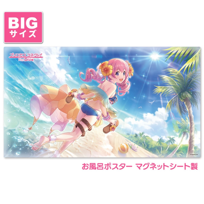 ץ󥻥ͥȡRe:Dive Ϥݥ 祵 ޥͥåȥ ĥ८ʥޡ ظ̵