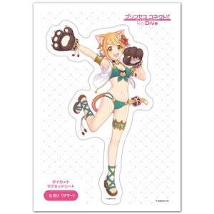 �ץ�󥻥����ͥ��ȡ�Re:Dive �������åȥ����� �ޥ��ͥåȥ������� �ҥ��ʥ��ޡ��� �椦�ѥ��å����������ǽ