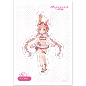 �ץ�󥻥����ͥ��ȡ�Re:Dive �������åȥ����� �ޥ��ͥåȥ������� �ߥߡʥ��ޡ��� �椦�ѥ��å����������ǽ