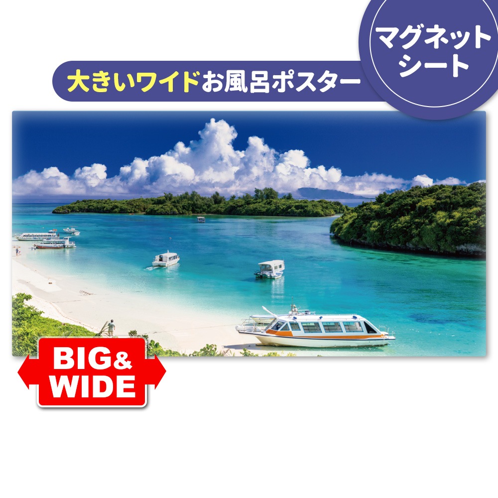 �礭���磻�ɤ���Ϥ�ݥ��������г���ۥޥ��ͥåȥ��������������ظ�������̵����