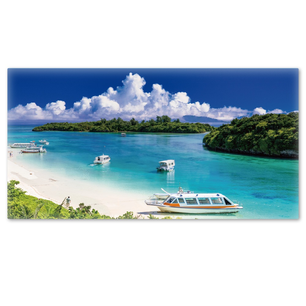 �礭���磻�ɤ���Ϥ�ݥ��������г���ۥޥ��ͥåȥ��������������ظ�������̵����