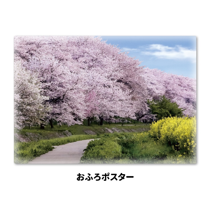 ����Ϥ�ݥ������ں����ڤ�ƻ�ۥޥ��ͥåȥ��������������ظ����