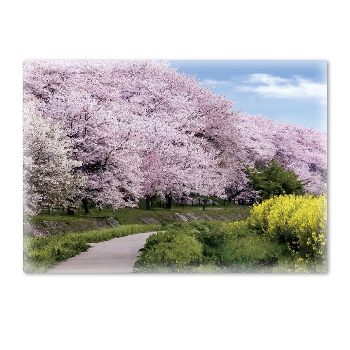 ����Ϥ�ݥ������ں����ڤ�ƻ�ۥޥ��ͥåȥ��������������ظ����