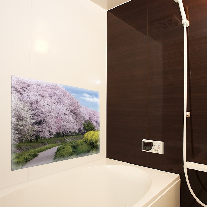 ����Ϥ�ݥ������ں����ڤ�ƻ�ۥޥ��ͥåȥ��������������ظ����