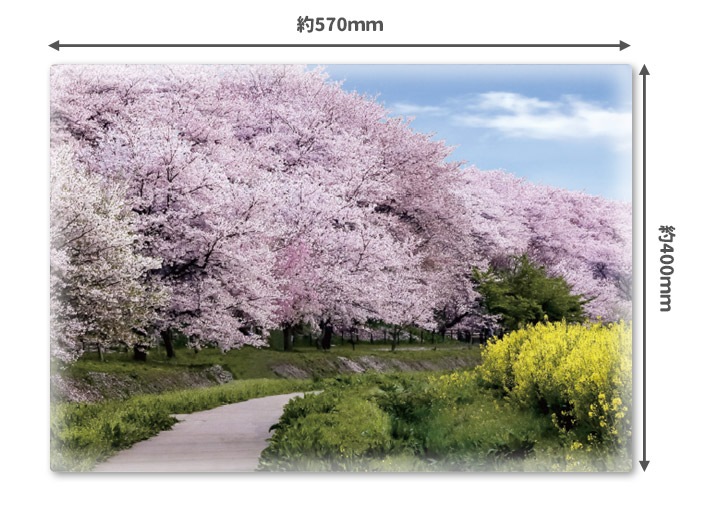 ����Ϥ�ݥ������ں����ڤ�ƻ�ۥޥ��ͥåȥ��������������ظ����