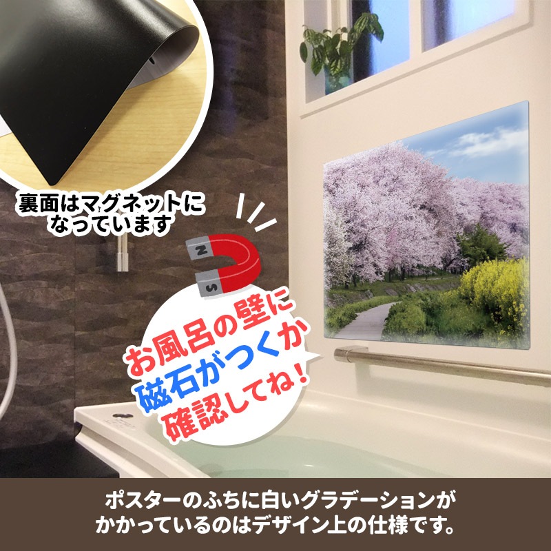 ����Ϥ�ݥ������ں����ڤ�ƻ�ۥޥ��ͥåȥ��������������ظ����