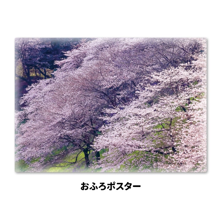 ����Ϥ�ݥ������ں��ڼ�ۥޥ��ͥåȥ��������������ظ����