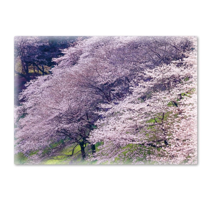 ����Ϥ�ݥ������ں��ڼ�ۥޥ��ͥåȥ��������������ظ����