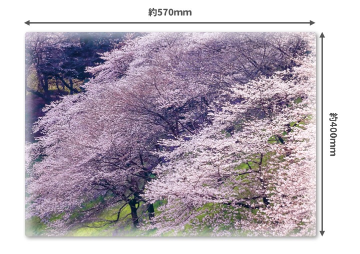 ����Ϥ�ݥ������ں��ڼ�ۥޥ��ͥåȥ��������������ظ����