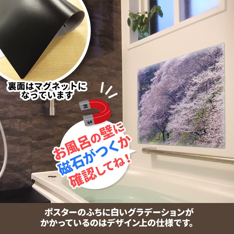 ����Ϥ�ݥ������ں��ڼ�ۥޥ��ͥåȥ��������������ظ����