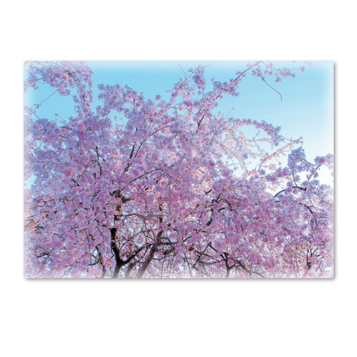 ����Ϥ�ݥ��������Ķ��Ⱥ��ۥޥ��ͥåȥ��������������ظ����