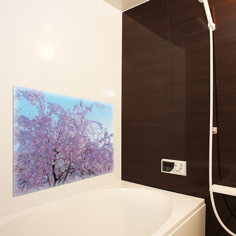 ����Ϥ�ݥ��������Ķ��Ⱥ��ۥޥ��ͥåȥ��������������ظ����