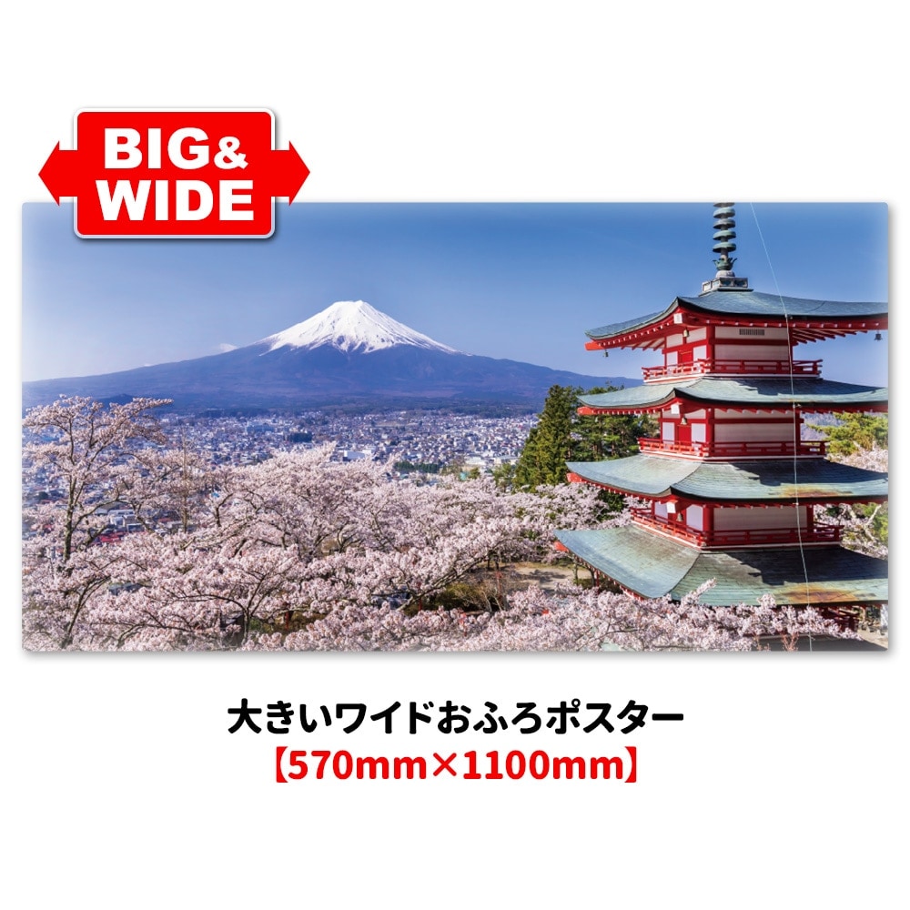 �礭���磻�ɤ���Ϥ�ݥ��������ٻλ��Ⱥ��ۥޥ��ͥåȥ��������������ظ�������̵����