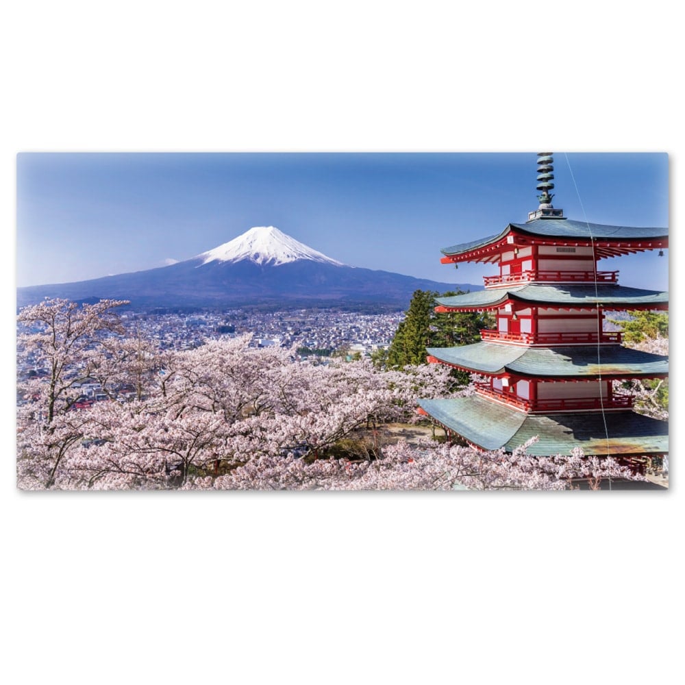 �礭���磻�ɤ���Ϥ�ݥ��������ٻλ��Ⱥ��ۥޥ��ͥåȥ��������������ظ�������̵����