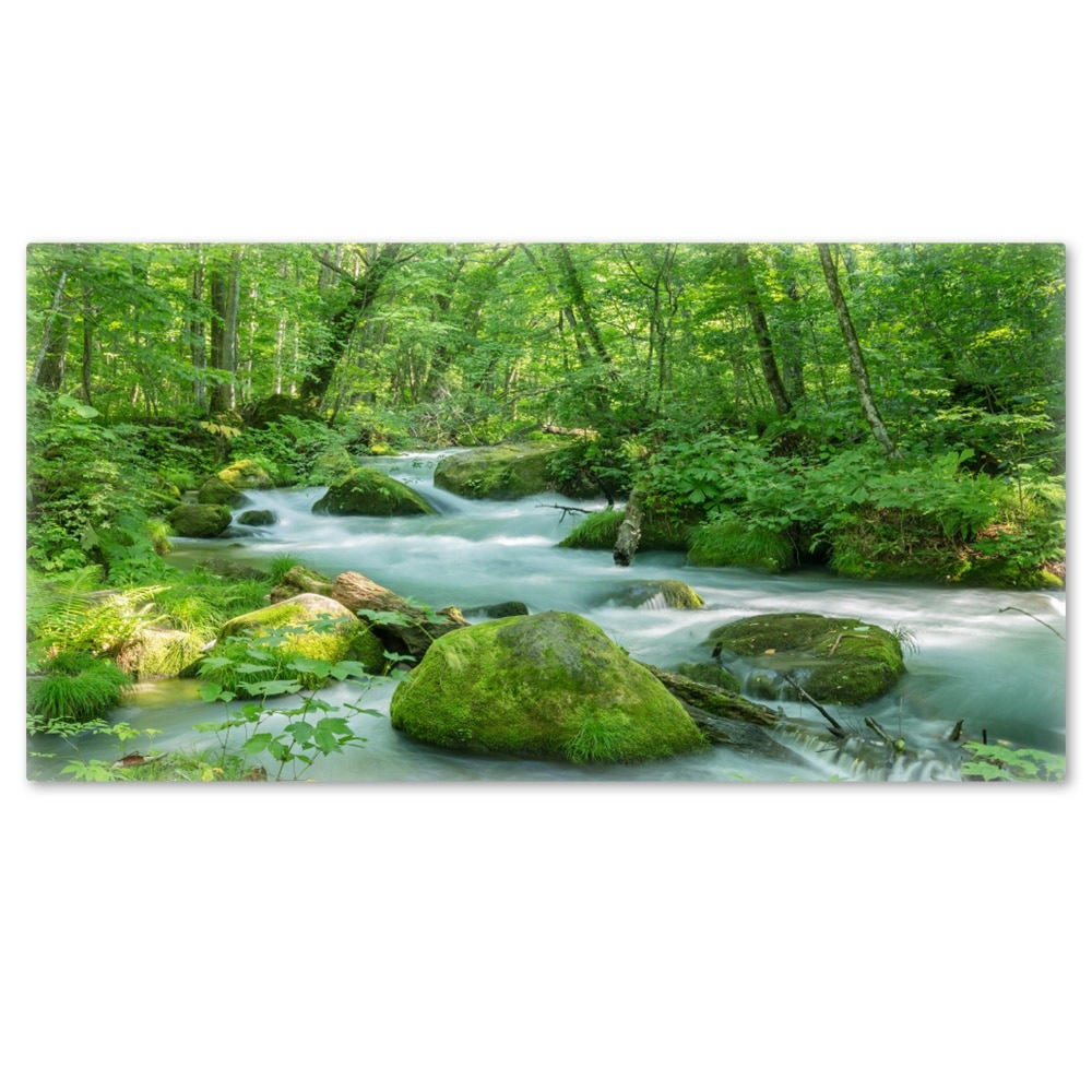 �礭���磻�ɤ���Ϥ�ݥ������ڱ�������ή�ۥޥ��ͥåȥ��������������ظ�������̵����