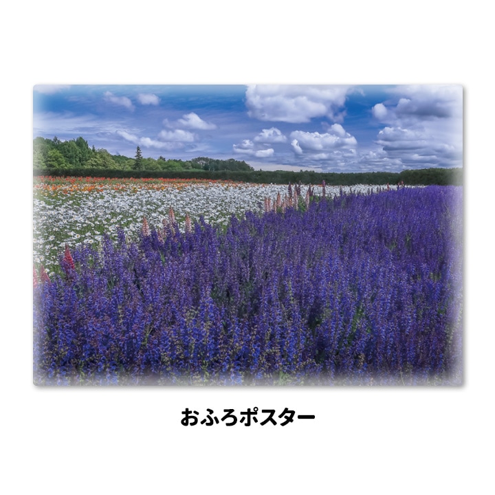 ����Ϥ�ݥ������ڥ�٥����Ȫ�ۥޥ��ͥåȥ��������������ظ����