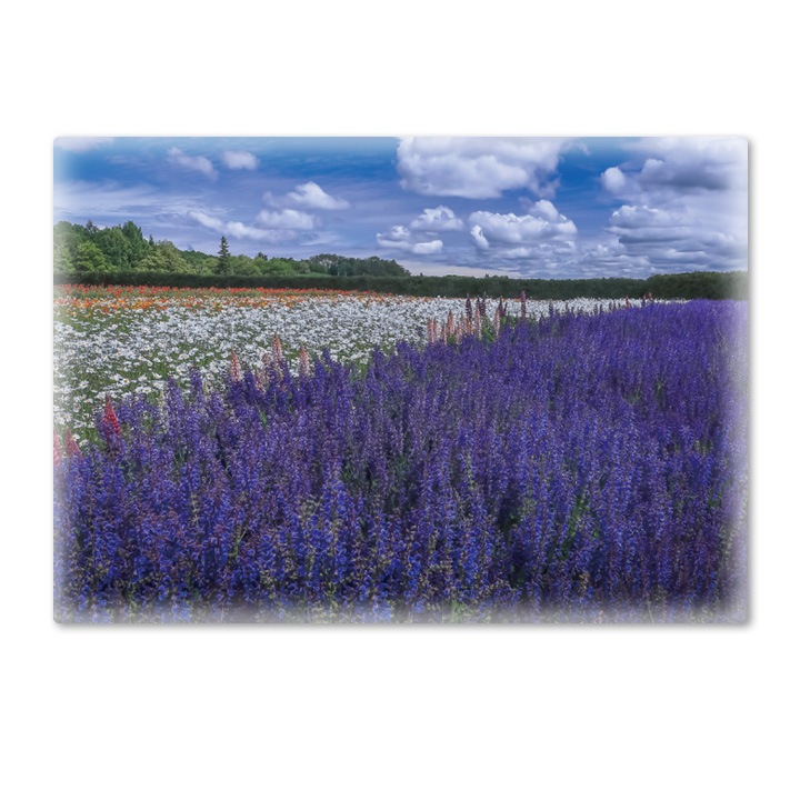 ����Ϥ�ݥ������ڥ�٥����Ȫ�ۥޥ��ͥåȥ��������������ظ����