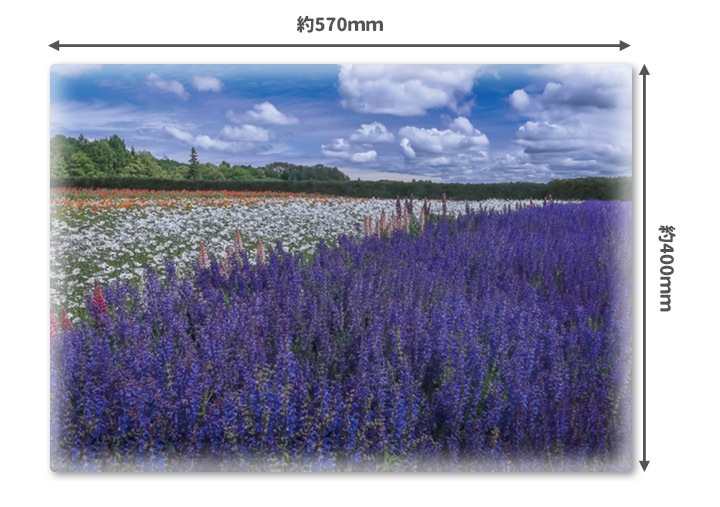 ����Ϥ�ݥ������ڥ�٥����Ȫ�ۥޥ��ͥåȥ��������������ظ����