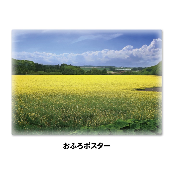 ����Ϥ�ݥ������ںڤβ�Ȫ�ۥޥ��ͥåȥ��������������ظ����