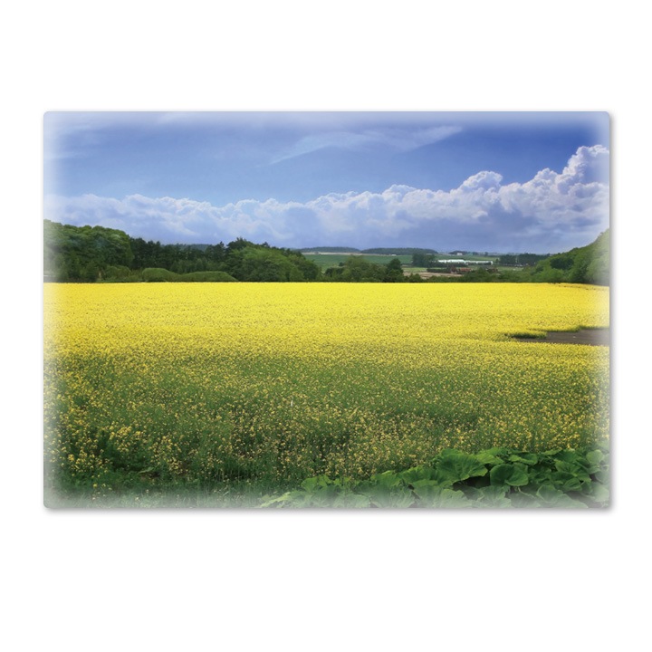 ����Ϥ�ݥ������ںڤβ�Ȫ�ۥޥ��ͥåȥ��������������ظ����