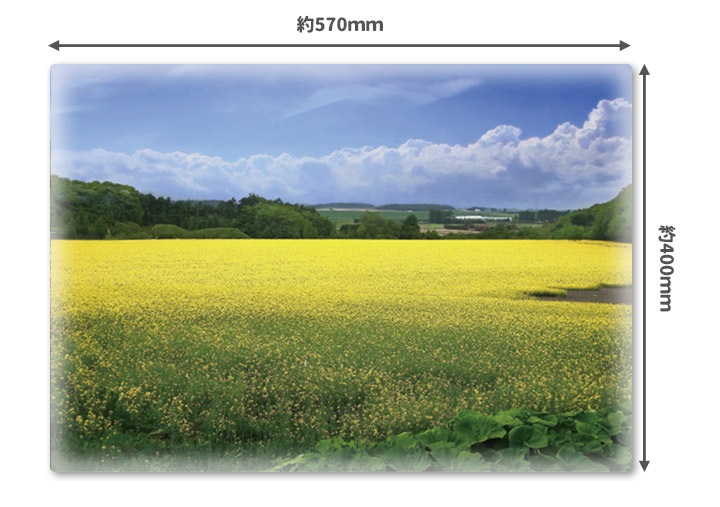 ����Ϥ�ݥ������ںڤβ�Ȫ�ۥޥ��ͥåȥ��������������ظ����