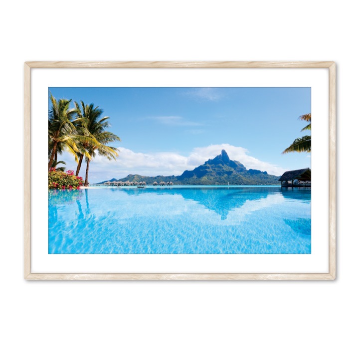 �۱�������Ϥ�ݥ������ڥܥ�ܥ���ۥޥ��ͥåȥ��������������ظ����