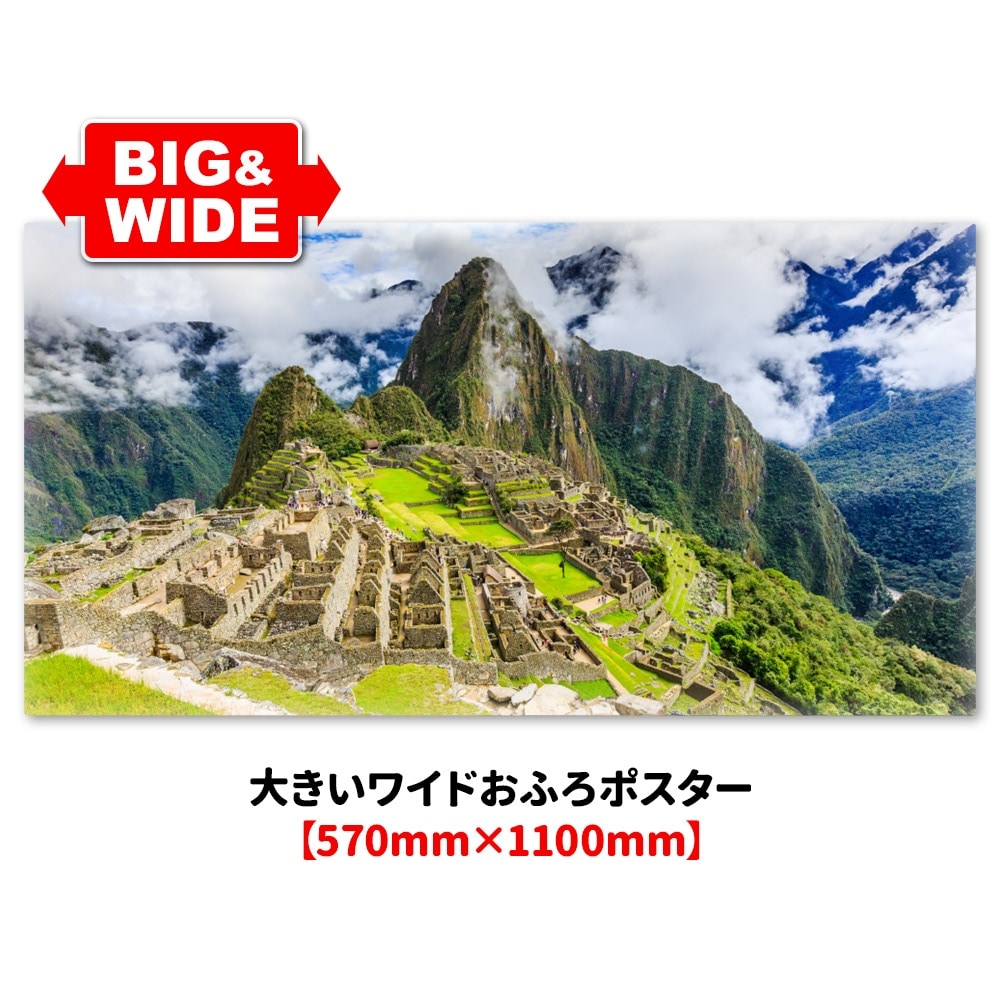 �礭���磻�ɤ���Ϥ�ݥ������ڥޥ���ԥ���ۥޥ��ͥåȥ��������������ظ�������̵����