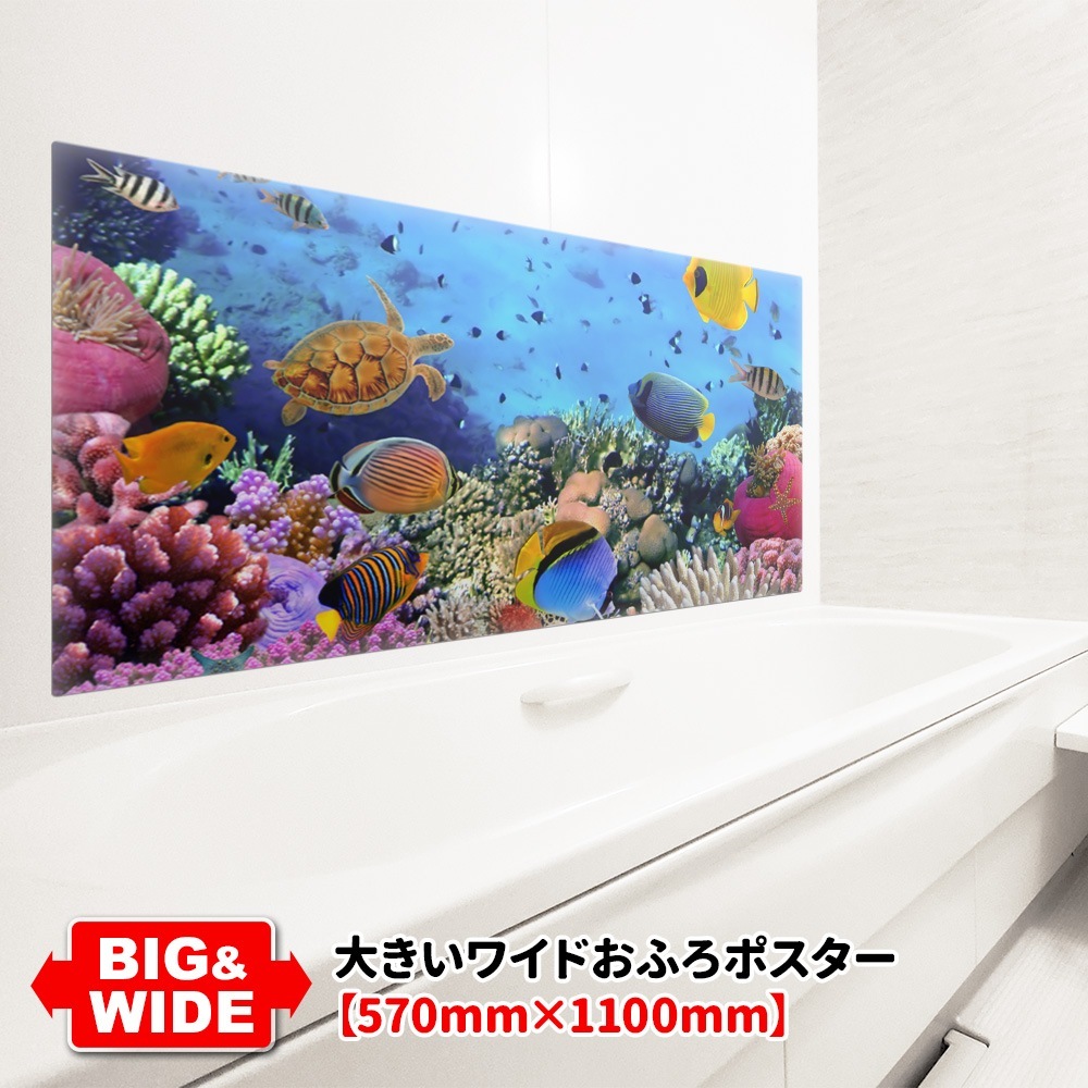 礭磻ɤϤݥڥꥦۥޥͥåȥظ̵