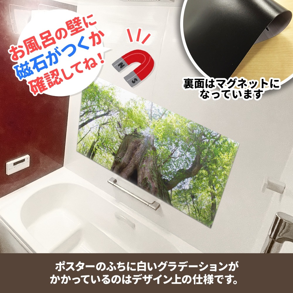 �礭���磻�ɤ���Ϥ�ݥ������ڲ��׿��ۥޥ��ͥåȥ��������������ظ�������̵����