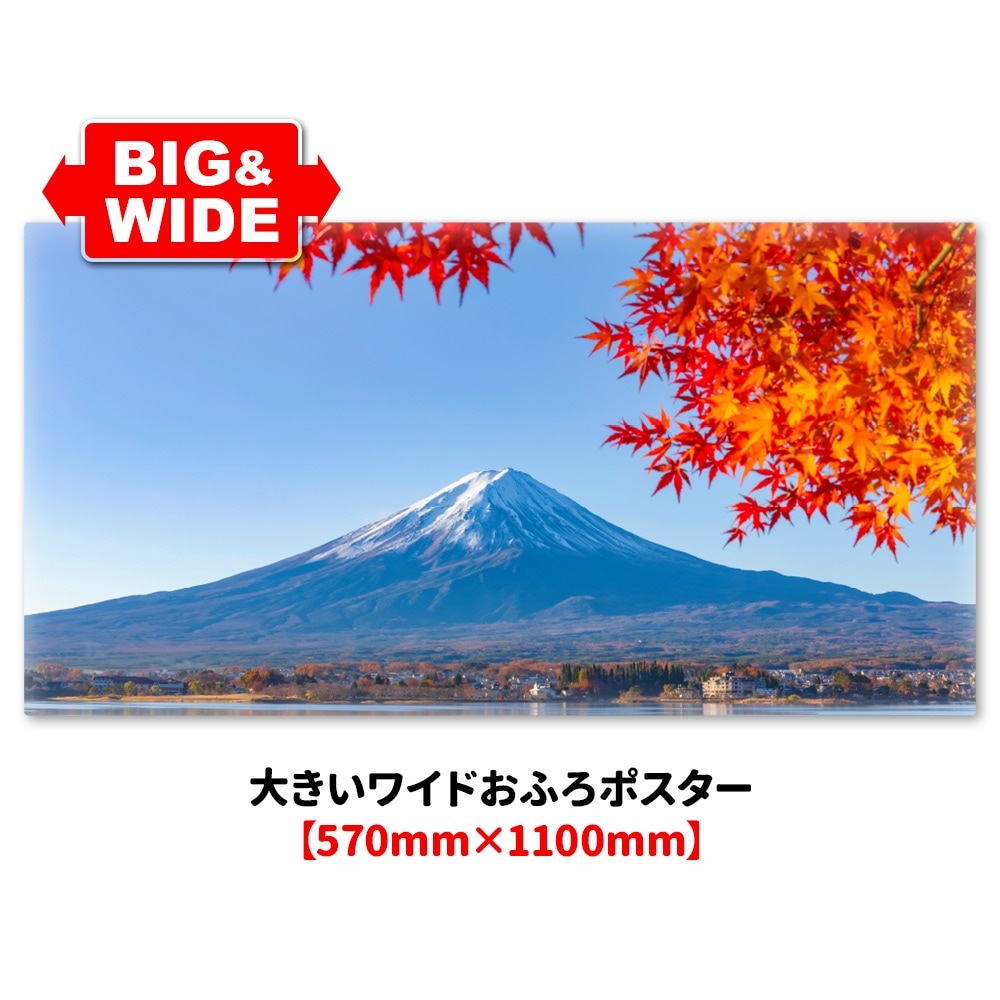 �礭���磻�ɤ���Ϥ�ݥ������ڽ����ٻλ��ۥޥ��ͥåȥ��������������ظ�������̵����