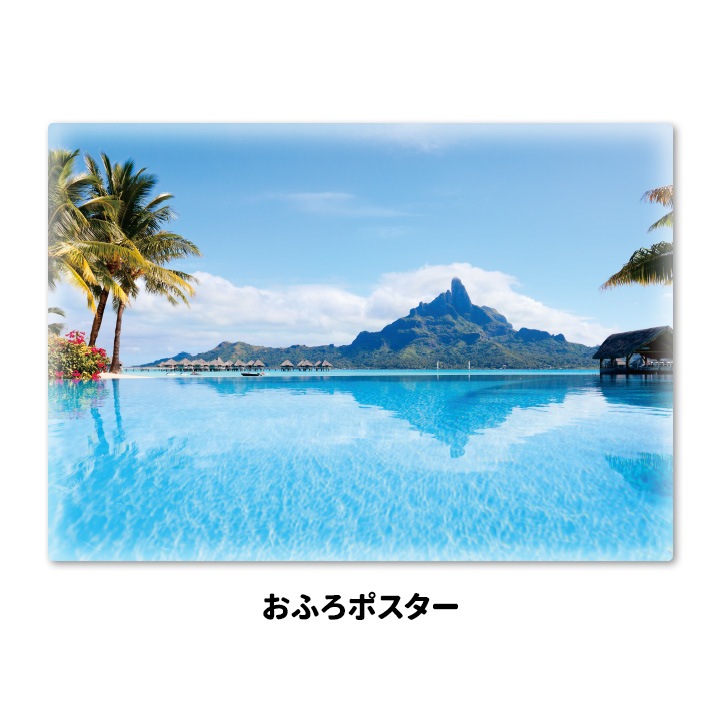 ����Ϥ�ݥ������ڥܥ�ܥ���ۥޥ��ͥåȥ��������������ظ����