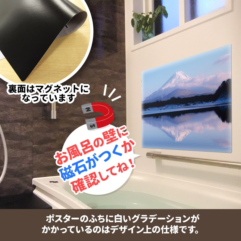 ����Ϥ�ݥ��������ٻλ��ۥޥ��ͥåȥ��������������ظ����