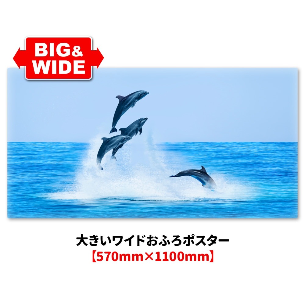 �礭���磻�ɤ���Ϥ�ݥ������ڥ��륫�ۥޥ��ͥåȥ��������������ظ�������̵����