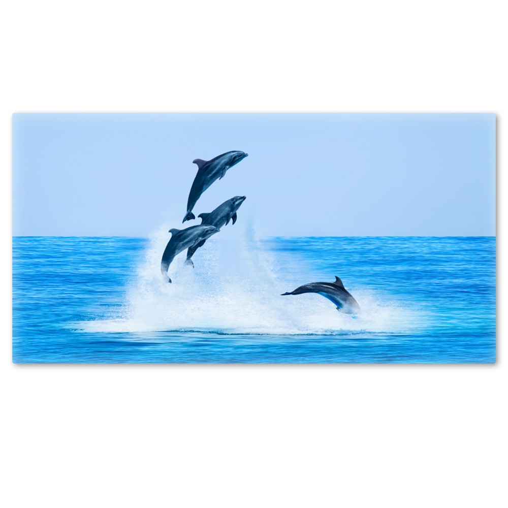 �礭���磻�ɤ���Ϥ�ݥ������ڥ��륫�ۥޥ��ͥåȥ��������������ظ�������̵����