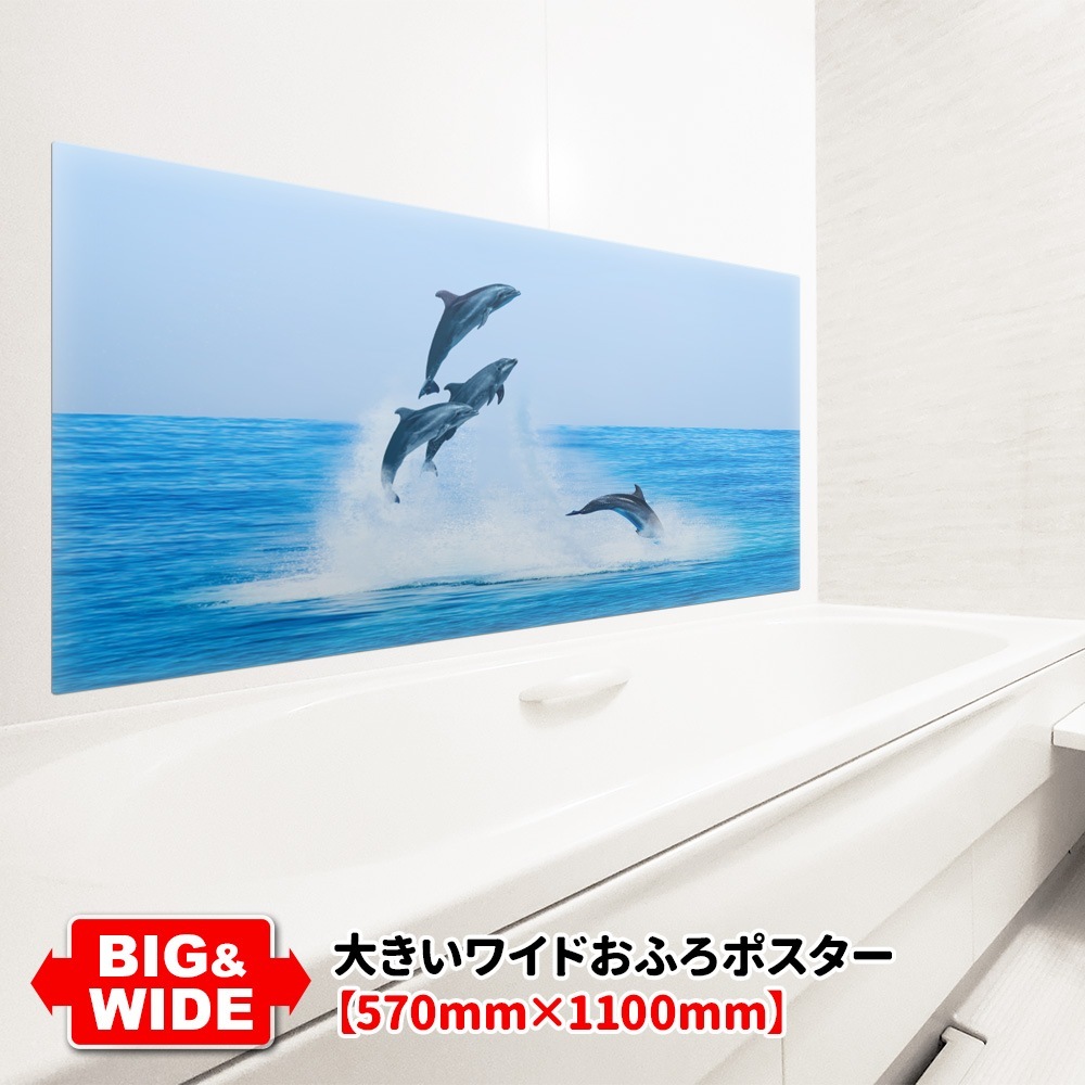 �礭���磻�ɤ���Ϥ�ݥ������ڥ��륫�ۥޥ��ͥåȥ��������������ظ�������̵����