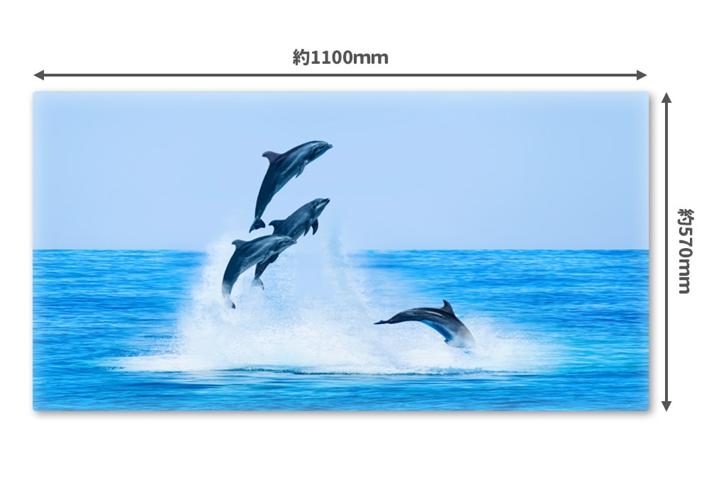 �礭���磻�ɤ���Ϥ�ݥ������ڥ��륫�ۥޥ��ͥåȥ��������������ظ�������̵����