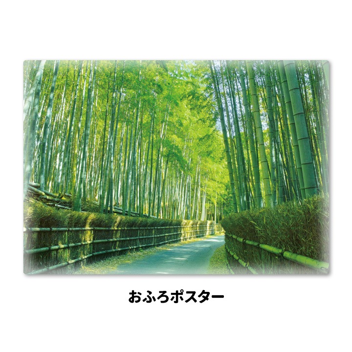 ����Ϥ�ݥ����������ӡۥޥ��ͥåȥ��������������ظ����