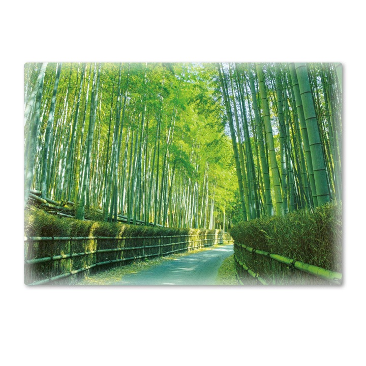 ����Ϥ�ݥ����������ӡۥޥ��ͥåȥ��������������ظ����