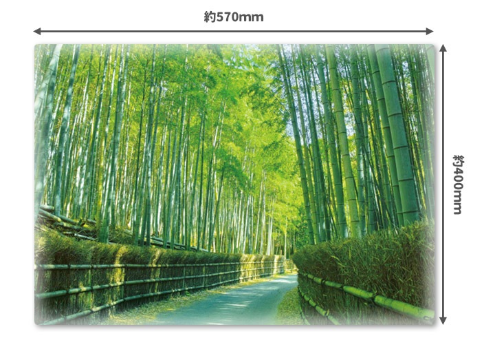 ����Ϥ�ݥ����������ӡۥޥ��ͥåȥ��������������ظ����